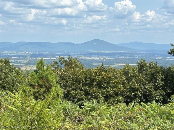 Listing Image #1 - Land for sale at TBD Witteville Road, Poteau OK 94953