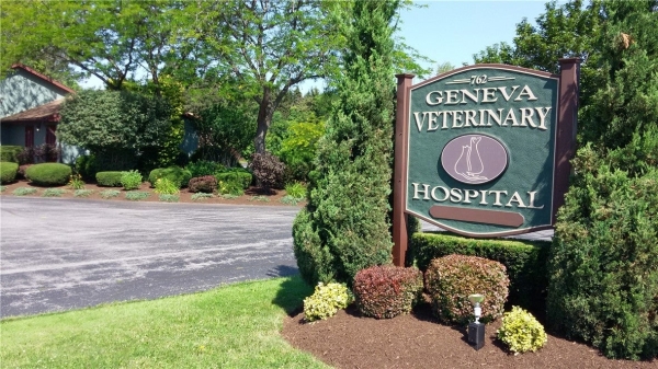 Listing Image #3 - Others for sale at 762 Pre Emption Road, Geneva NY 14456 Listing Image #3 - Others for sale at 762 Pre Emption Road, Geneva NY 14456