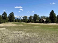 Listing Image #3 - Land for sale at TBD V314 Marmot Drive, Ridgway CO 81432