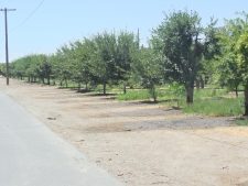 Listing Image #3 - Land for sale at 2200 Encinal Road, Live Oak CA 95953