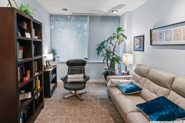 Listing Image #3 - Office for sale at 1801 Robert Fulton Dr Suite 230, Reston VA 20191