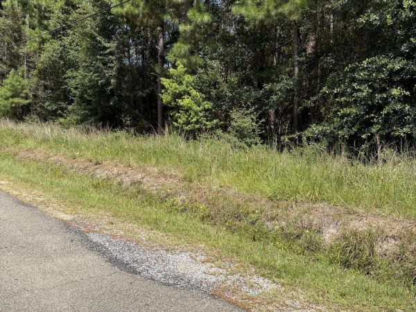 Listing Image #2 - Land for sale at 0 W Ridley Street, Bay Saint Louis MS 39520 Listing Image #2 - Land for sale at 0 W Ridley Street, Bay Saint Louis MS 39520