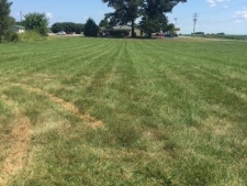 Listing Image #2 - Others for sale at 0 Pembroke Oak Grove Rd, Oak Grove KY 42262