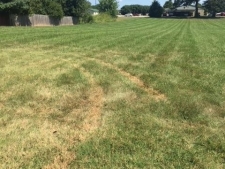 Listing Image #3 - Others for sale at 0 Pembroke Oak Grove Rd, Oak Grove KY 42262