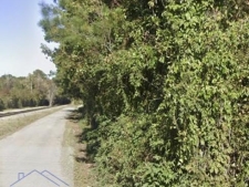 Listing Image #3 - Land for sale at 87 Old Gress Island Road, Midway GA 31313