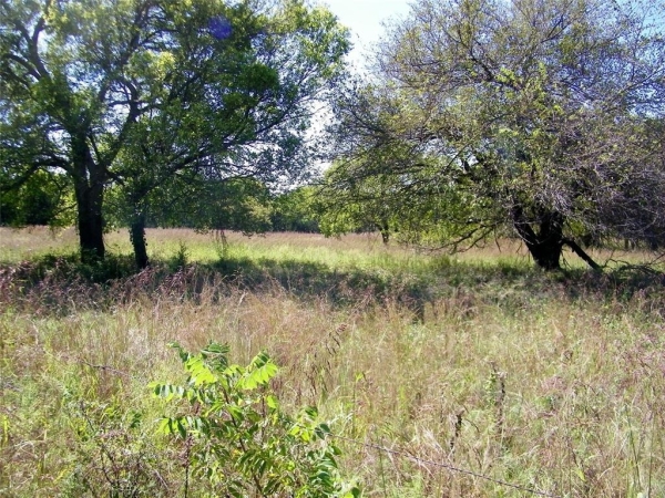 Listing Image #2 - Land for sale at 2343 County Road 1350, Blanchard OK 73010 Listing Image #2 - Land for sale at 2343 County Road 1350, Blanchard OK 73010