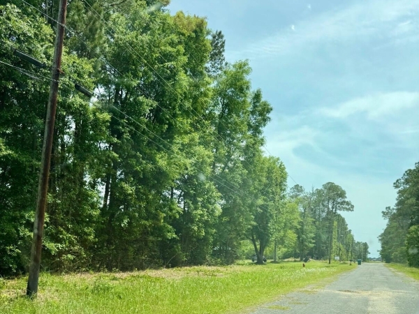 Listing Image #1 - Land for sale at 6708 Firestone Street, Ocean Springs MS 39564 Listing Image #1 - Land for sale at 6708 Firestone Street, Ocean Springs MS 39564