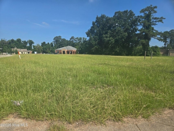 Listing Image #2 - Land for sale at 945 Benvenue Road, Rocky Mount NC 27804