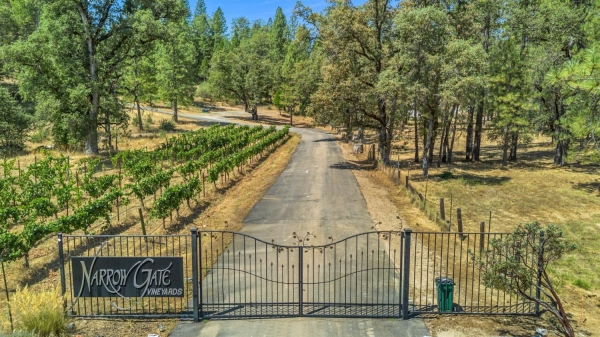 Listing Image #3 - Others for sale at 4180 Pleasant Valley Road, Placerville CA 95667 Listing Image #3 - Others for sale at 4180 Pleasant Valley Road, Placerville CA 95667