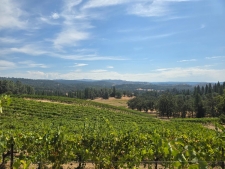 Listing Image #2 - Others for sale at 4180 Pleasant Valley Road, Placerville CA 95667