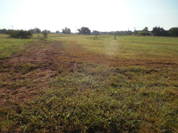 Listing Image #2 - Land for sale at Lot 8-B S Hummingbird, Stillwater OK 74074 Listing Image #2 - Land for sale at Lot 8-B S Hummingbird, Stillwater OK 74074