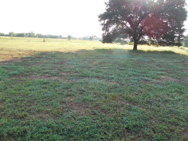 Listing Image #3 - Land for sale at Lot 8-A Hummingbird, Stillwater OK 74074 Listing Image #3 - Land for sale at Lot 8-A Hummingbird, Stillwater OK 74074