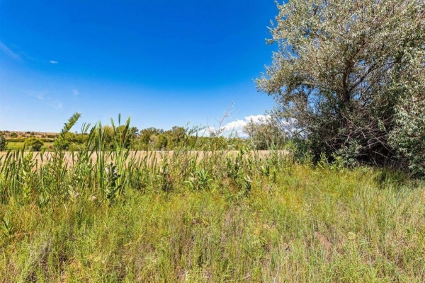 Listing Image #3 - Land for sale at 44 County Road 225a, Durango CO 81301 Listing Image #3 - Land for sale at 44 County Road 225a, Durango CO 81301