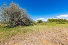 Listing Image #2 - Land for sale at 44 County Road 225a, Durango CO 81301