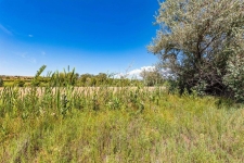Listing Image #3 - Land for sale at 44 County Road 225a, Durango CO 81301