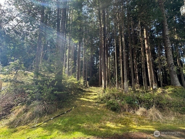 Listing Image #1 - Land for sale at 44 ROBIN LANE, PACIFIC BEACH WA 98571 Listing Image #1 - Land for sale at 44 ROBIN LANE, PACIFIC BEACH WA 98571