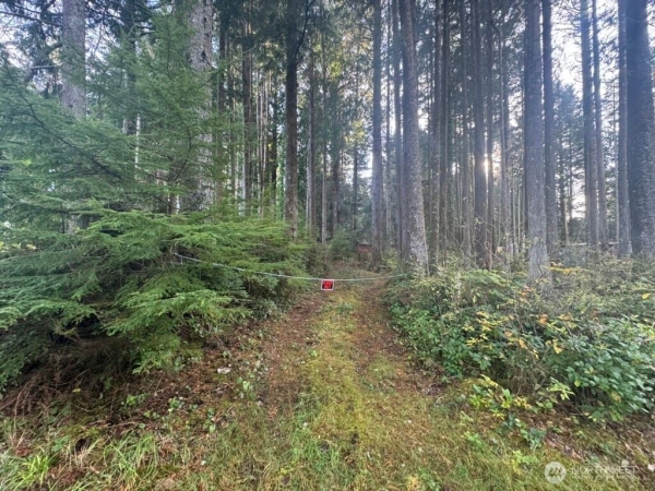 Listing Image #2 - Land for sale at 44 ROBIN LANE, PACIFIC BEACH WA 98571 Listing Image #2 - Land for sale at 44 ROBIN LANE, PACIFIC BEACH WA 98571