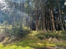 Land property for sale in PACIFIC BEACH, WA