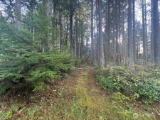 Listing Image #2 - Land for sale at 44 ROBIN LANE, PACIFIC BEACH WA 98571