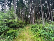 Listing Image #3 - Land for sale at 44 ROBIN LANE, PACIFIC BEACH WA 98571