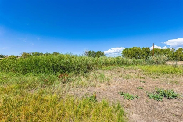 Listing Image #3 - Land for sale at 86 County Road 225a, Durango CO 81301