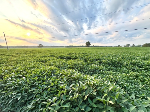 Listing Image #4 - Land for sale at 323 N. Eatherton Road,, Wildwood MO 63005 Listing Image #4 - Land for sale at 323 N. Eatherton Road,, Wildwood MO 63005