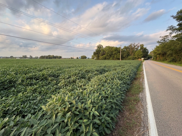 Listing Image #5 - Land for sale at 323 N. Eatherton Road,, Wildwood MO 63005 Listing Image #5 - Land for sale at 323 N. Eatherton Road,, Wildwood MO 63005
