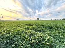 Listing Image #4 - Land for sale at 323 N. Eatherton Road,, Wildwood MO 63005