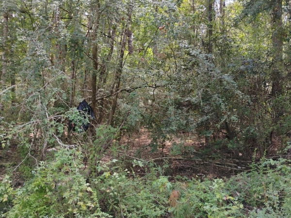 Listing Image #2 - Land for sale at 0 Hilda Street, Gulfport MS 39503