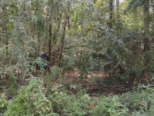 Listing Image #2 - Land for sale at 0 Hilda Street, Gulfport MS 39503