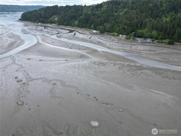 Listing Image #1 - Land for sale at NO SITE ADDRESS, UNION WA 98592 Listing Image #1 - Land for sale at NO SITE ADDRESS, UNION WA 98592
