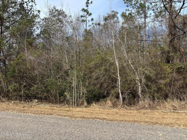 Listing Image #1 - Land for sale at 00 Crestwick St. Street, Saucier MS 39574