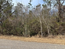 Land property for sale in Saucier, MS
