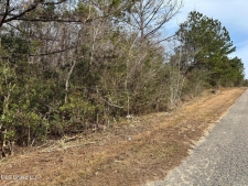Listing Image #2 - Land for sale at 00 Crestwick St. Street, Saucier MS 39574