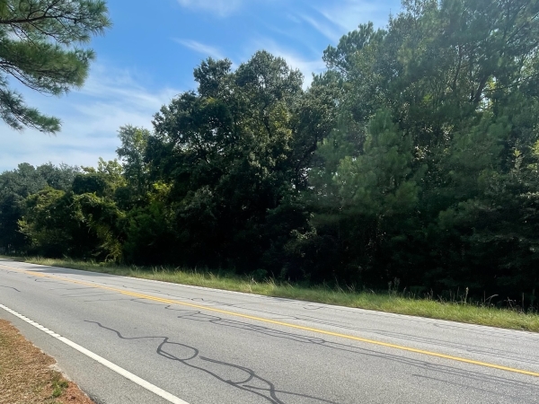 Listing Image #2 - Land for sale at 0 Robertson Blvd, Walterboro SC 29488 Listing Image #2 - Land for sale at 0 Robertson Blvd, Walterboro SC 29488