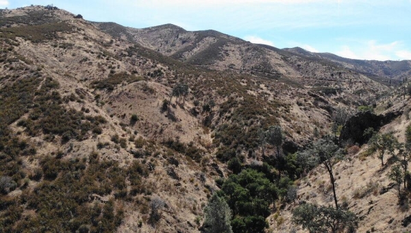 Listing Image #1 - Land for sale at I-5 Highway, Newman CA 95360 Listing Image #1 - Land for sale at I-5 Highway, Newman CA 95360