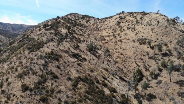 Listing Image #3 - Land for sale at I-5 Highway, Newman CA 95360 Listing Image #3 - Land for sale at I-5 Highway, Newman CA 95360