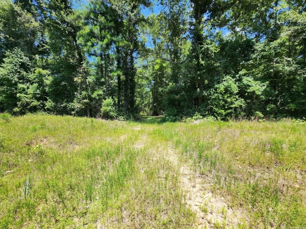 Listing Image #1 - Land for sale at East 16.9 Acres on Hwy 82 E, El Dorado AR 71730 Listing Image #1 - Land for sale at East 16.9 Acres on Hwy 82 E, El Dorado AR 71730