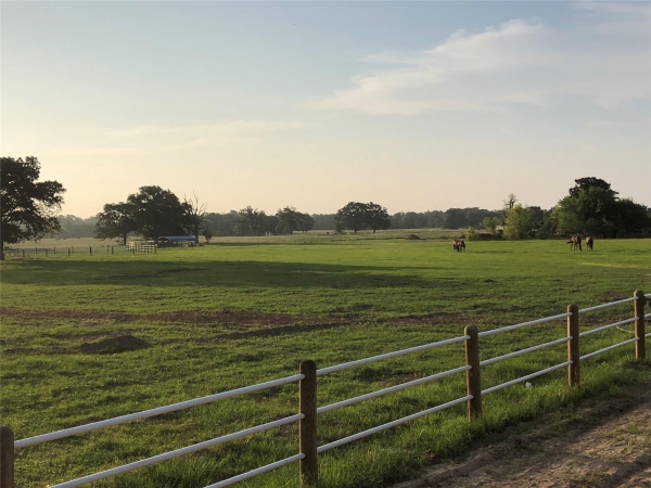 Listing Image #3 - Others for sale at 4250 Hwy 154, Yantis TX 75497 Listing Image #3 - Others for sale at 4250 Hwy 154, Yantis TX 75497