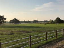 Listing Image #3 - Others for sale at 4250 Hwy 154, Yantis TX 75497