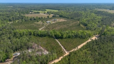 Listing Image #3 - Others for sale at 505 Goodson Road, Quincy FL 32351