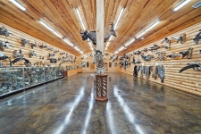 Listing Image #3 - Others for sale at 10024 Hwy 165, North Little Rock AR 72117