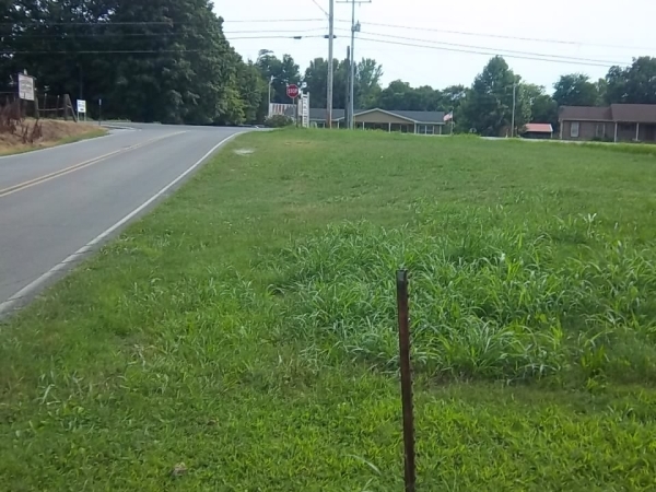 Listing Image #1 - Land for sale at 0 Highway 41 N, Adams TN 37010