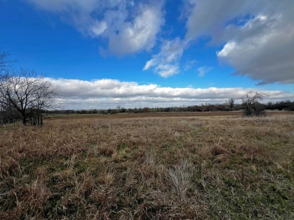 Listing Image #3 - Others for sale at TBD County Road 196 None, Georgetown TX 78626