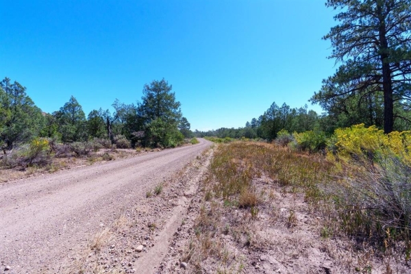 Listing Image #1 - Land for sale at TBD Budd Road, Durango CO 81303 Listing Image #1 - Land for sale at TBD Budd Road, Durango CO 81303