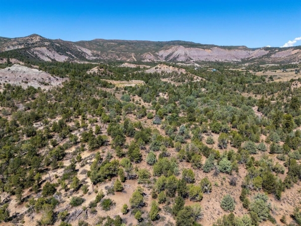 Listing Image #3 - Land for sale at TBD Budd Road, Durango CO 81303 Listing Image #3 - Land for sale at TBD Budd Road, Durango CO 81303