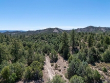 Listing Image #2 - Land for sale at TBD Budd Road, Durango CO 81303