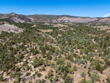 Listing Image #3 - Land for sale at TBD Budd Road, Durango CO 81303