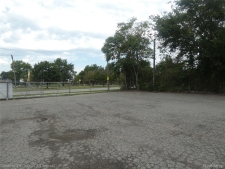 Listing Image #3 - Others for sale at 2237 S Fort Street, Detroit MI 48217