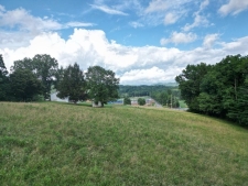 Listing Image #9 - Farm for sale at 30 Hidden Oaks Dr, Summersville WV 26651